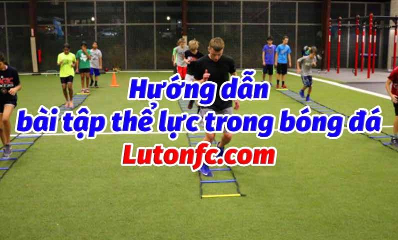 Hướng dẫn thực hiện các bài tập thể dục trong bóng đá cập nhật 11/2024